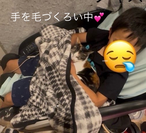 山口市/美容室/美容院/猫カフェ/猫/シューケット/防府市/美祢市/萩市/周南市/宇部市/下関市/山口/島根/広島