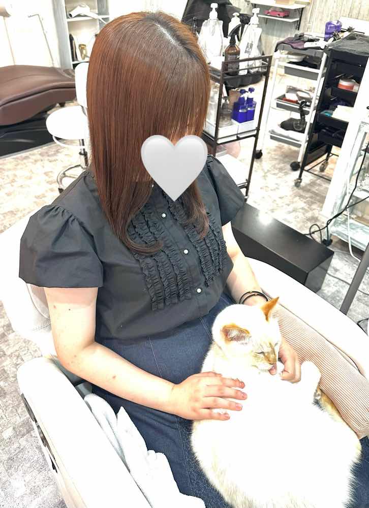 山口市/美容室/美容院/シューケット/防府市/美祢市/萩市/周南市/宇部市/下関市/山口/島根/広島/子供カット/胎毛筆/赤ちゃんの筆/日本髪/七五三 山口市/美容室/美容院/シューケット/防府市/美祢市/萩市/周南市/宇部市/下関市/山口/島根/広島/子供カット/胎毛筆/赤ちゃんの筆/日本髪/七五三