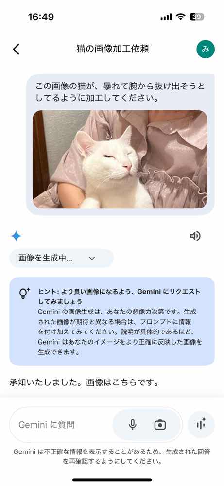 山口市/美容室/美容院/猫カフェ/猫/シューケット/防府市/美祢市/萩市/周南市/宇部市/下関市/山口/島根/広島 山口市/美容室/美容院/猫カフェ/猫/シューケット/防府市/美祢市/萩市/周南市/宇部市/下関市/山口/島根/広島