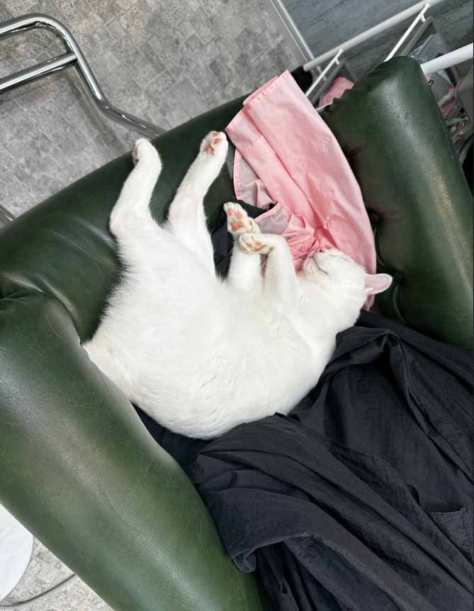 山口市/美容室/美容院/シューケット/防府市/美祢市/萩市/周南市/宇部市/下関市/山口/島根/広島/子供カット/胎毛筆/赤ちゃんの筆/日本髪/七五三 山口市/美容室/美容院/シューケット/防府市/美祢市/萩市/周南市/宇部市/下関市/山口/島根/広島/子供カット/胎毛筆/赤ちゃんの筆/日本髪/七五三