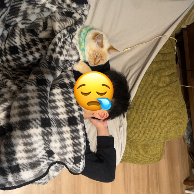 山口市/美容室/美容院/猫カフェ/猫/シューケット/防府市/美祢市/萩市/周南市/宇部市/下関市/山口/島根/広島