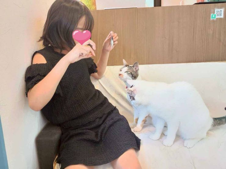 山口市/美容室/美容院/猫カフェ/猫/シューケット/防府市/美祢市/萩市/周南市/宇部市/下関市/山口/島根/広島 山口市/美容室/美容院/猫カフェ/猫/シューケット/防府市/美祢市/萩市/周南市/宇部市/下関市/山口/島根/広島