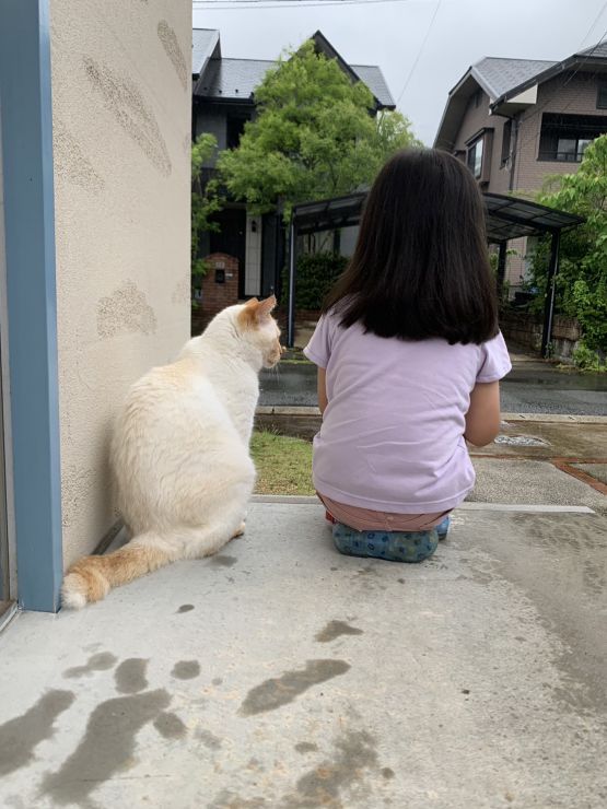 山口市/美容室/美容院/猫カフェ/猫/シューケット/防府市/美祢市/萩市/周南市/宇部市/下関市/山口/島根/広島 山口市/美容室/美容院/猫カフェ/猫/シューケット/防府市/美祢市/萩市/周南市/宇部市/下関市/山口/島根/広島