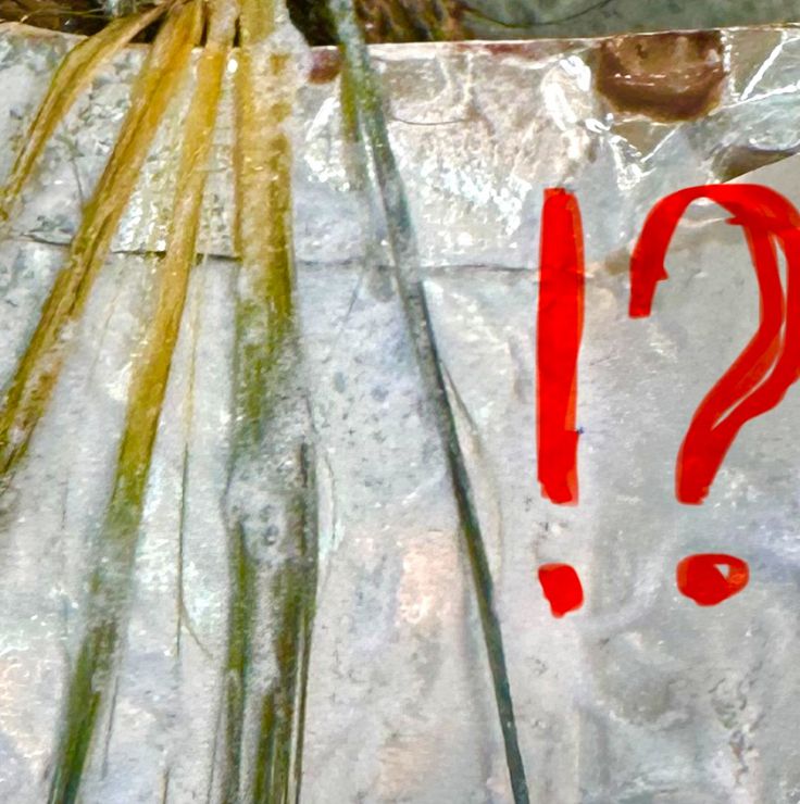 山口市/美容室 /美容院/シューケット/グレイヘア/白髪染め/やめたい/荒れない/ 山口市/美容室 /美容院/シューケット/グレイヘア/白髪染め/やめたい/荒れない/