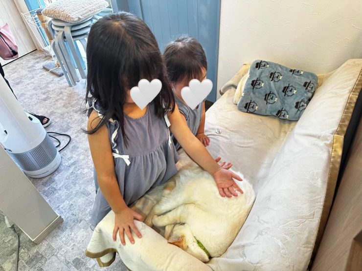 山口市/美容室/美容院/シューケット/防府市/美祢市/萩市/周南市/宇部市/下関市/山口/島根/広島/子供カット/胎毛筆/赤ちゃんの筆/日本髪/七五三 山口市/美容室/美容院/シューケット/防府市/美祢市/萩市/周南市/宇部市/下関市/山口/島根/広島/子供カット/胎毛筆/赤ちゃんの筆/日本髪/七五三