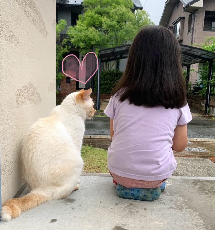 山口市/美容室/美容院/猫カフェ/猫/シューケット/防府市/美祢市/萩市/周南市/宇部市/下関市/山口/島根/広島 山口市/美容室/美容院/猫カフェ/猫/シューケット/防府市/美祢市/萩市/周南市/宇部市/下関市/山口/島根/広島