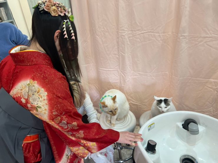 山口市/美容室/美容院/セット/アレンジ 結婚式/成人式/卒業式/上手/おすすめ 山口市/美容室/美容院/セット/アレンジ 結婚式/成人式/卒業式/上手/おすすめ
