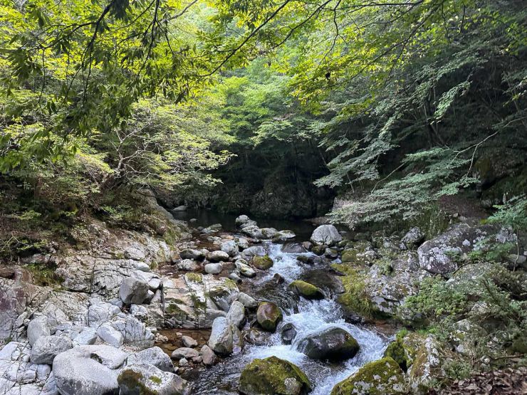 山口市/美容室/美容院/シューケット/防府市/美祢市/萩市/周南市/宇部市/下関市/山口/島根/広島/子供カット/胎毛筆/赤ちゃんの筆/日本髪/七五三