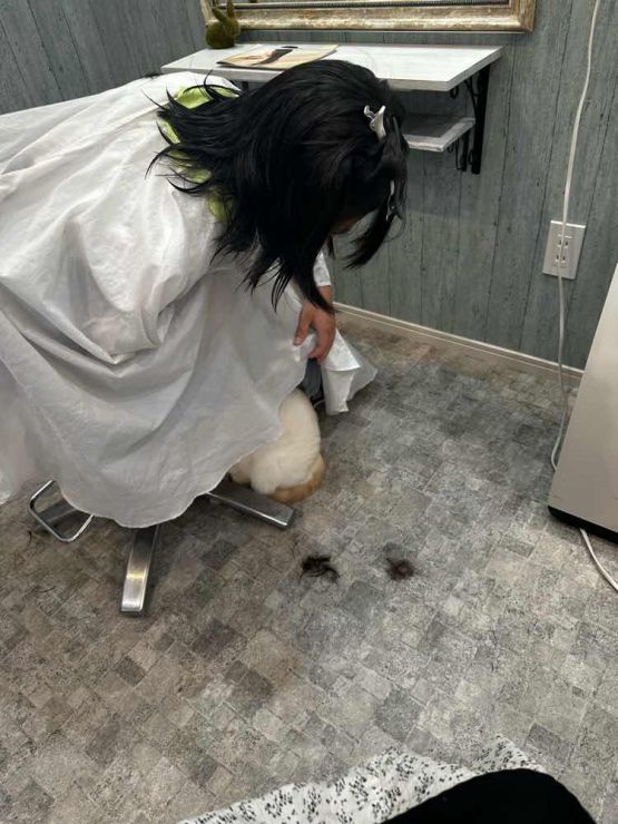 山口市/美容室/美容院/猫カフェ/猫/シューケット/防府市/美祢市/萩市/周南市/宇部市/下関市/山口/島根/広島