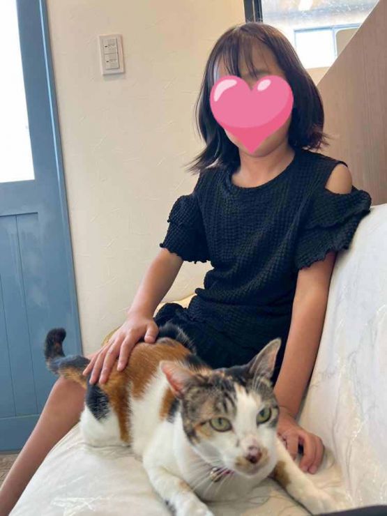 山口市/美容室/美容院/猫カフェ/猫/シューケット/防府市/美祢市/萩市/周南市/宇部市/下関市/山口/島根/広島 山口市/美容室/美容院/猫カフェ/猫/シューケット/防府市/美祢市/萩市/周南市/宇部市/下関市/山口/島根/広島