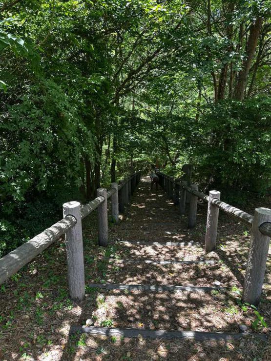 山口市/美容室/美容院/猫カフェ 猫/シューケット/防府市/美祢市/萩市/周南市/宇部市/下関市/山口/島根/広島 山口市/美容室/美容院/猫カフェ 猫/シューケット/防府市/美祢市/萩市/周南市/宇部市/下関市/山口/島根/広島